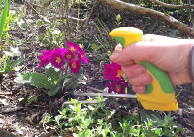 Ergonomic Handle Cultivator