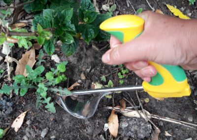 Ergonomic Handle Weeder